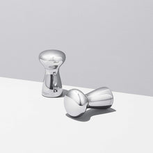 Load image into Gallery viewer, Alfredo Salt &amp; Pepper, Small
